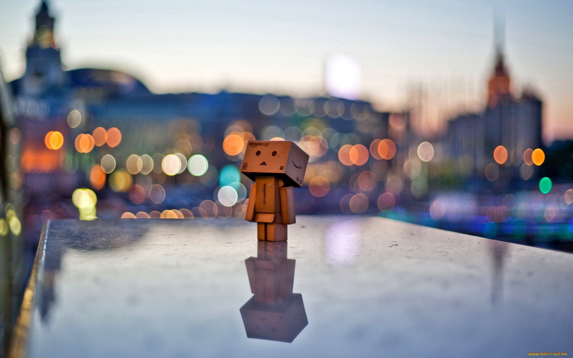 , , danboard